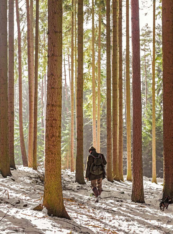 Explorer_Issue_61 Kopie 2