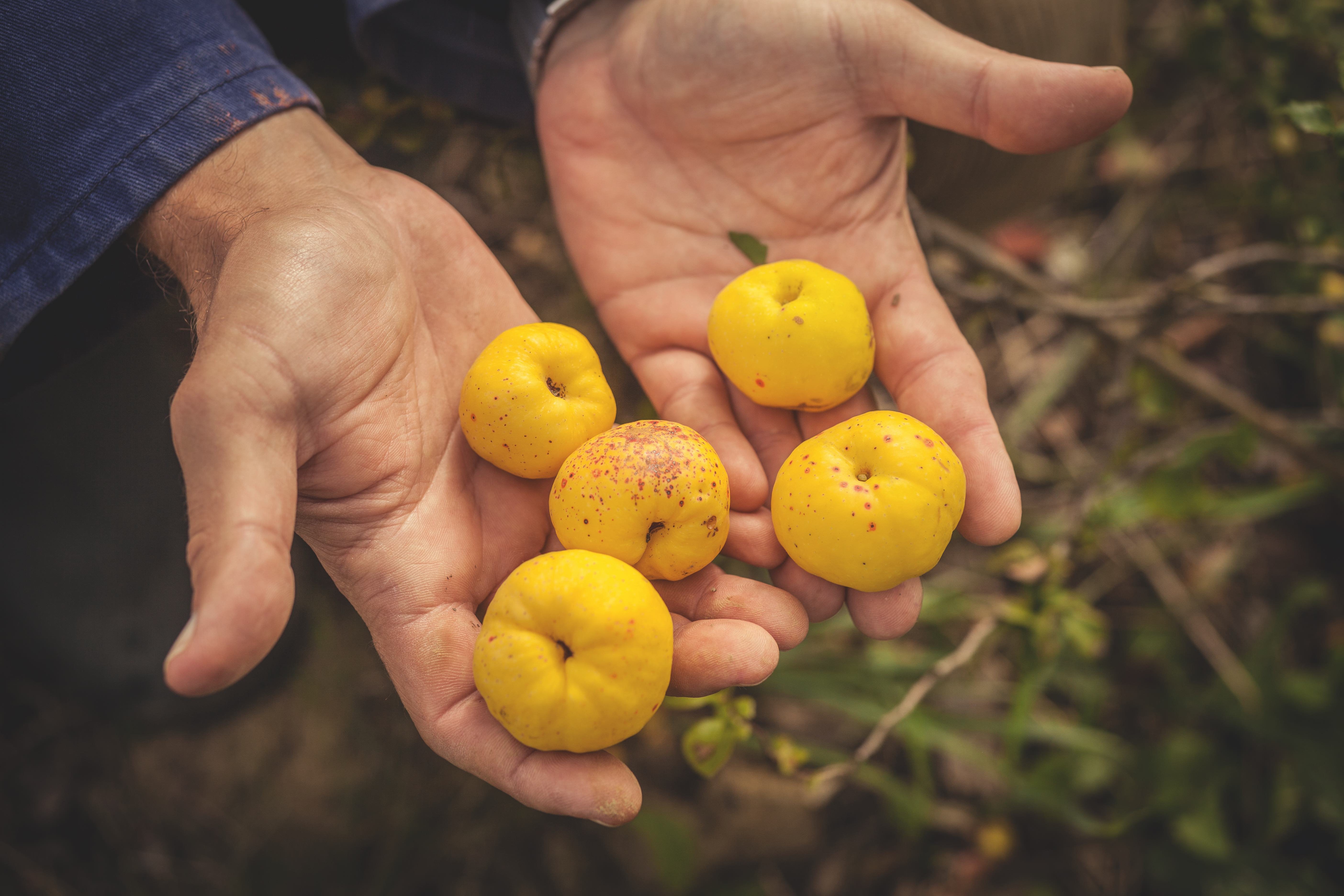 OutOfTheJar_St┬ählem┬ühle_JochenHirschfeld_p88-89_ms