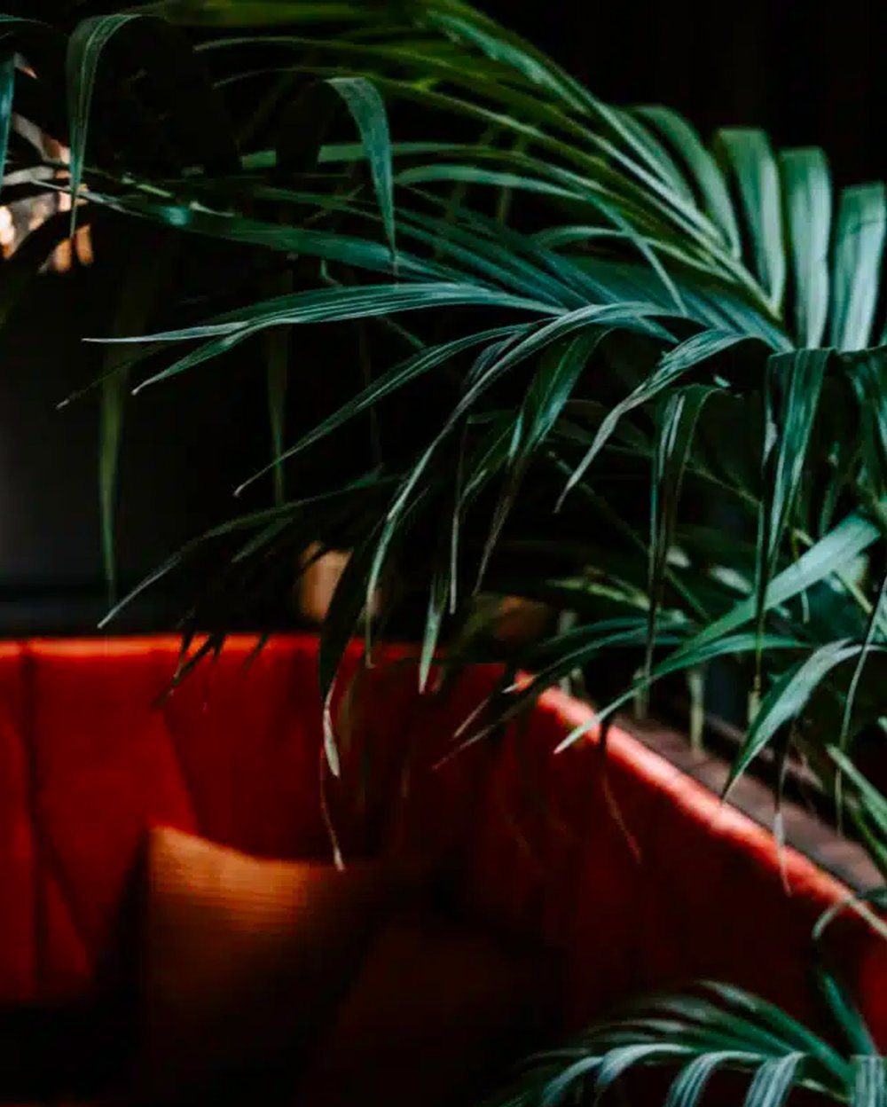 vagabondclub_pattern