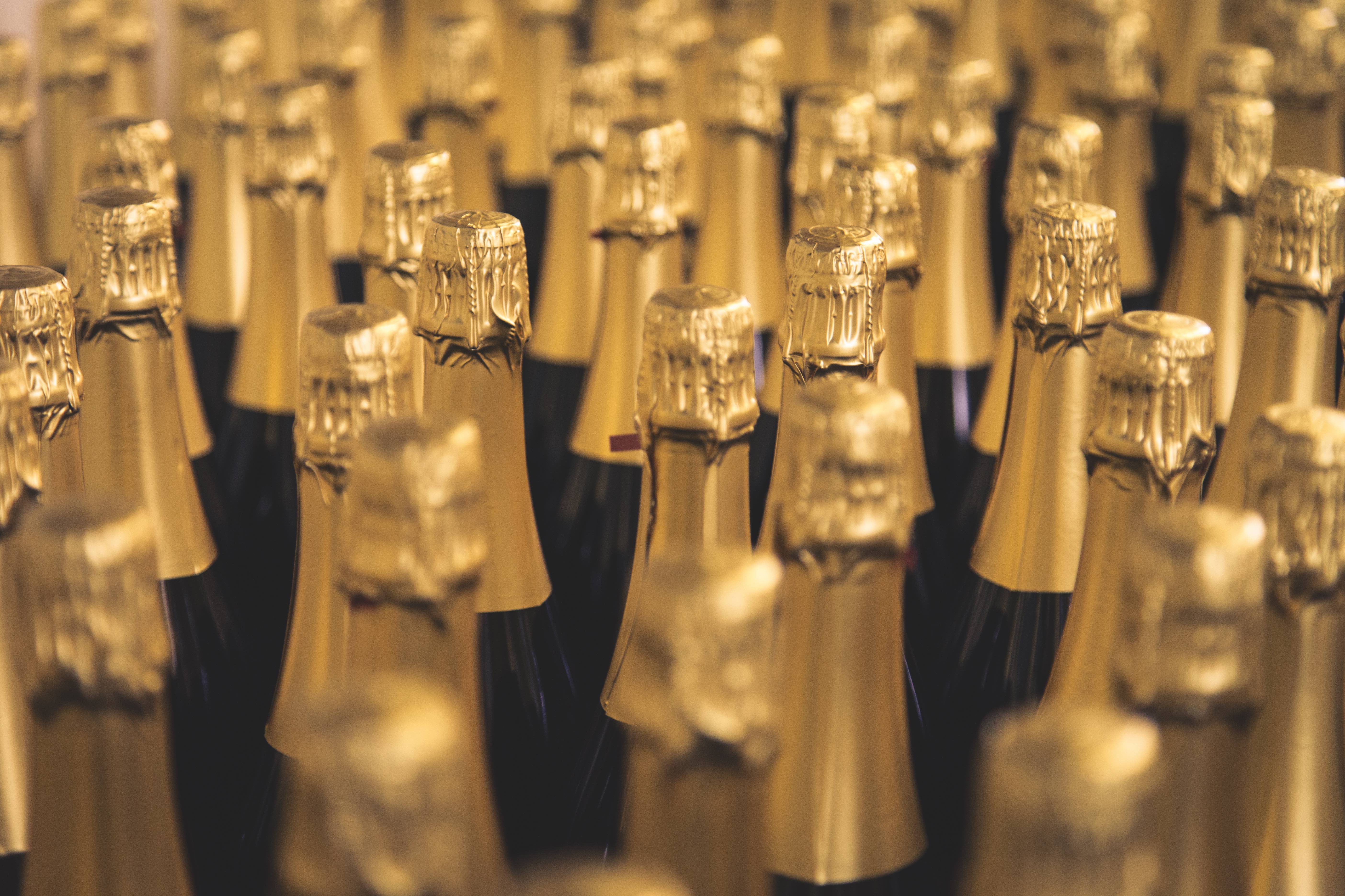 Kapseln gefaltet AB++_bw