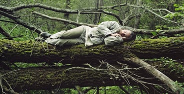Person sleeps on tree