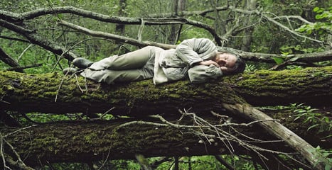 Person sleeps on tree