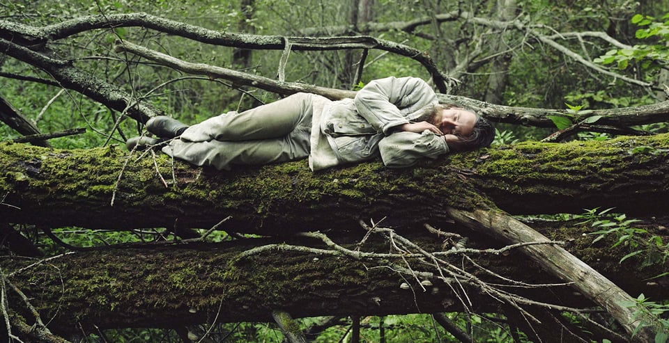 Person sleeps on tree