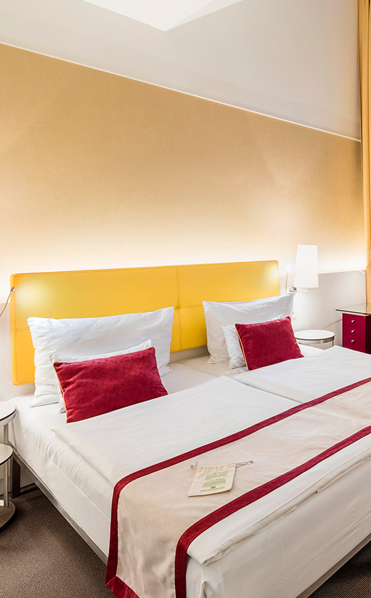 Superior Double Room 