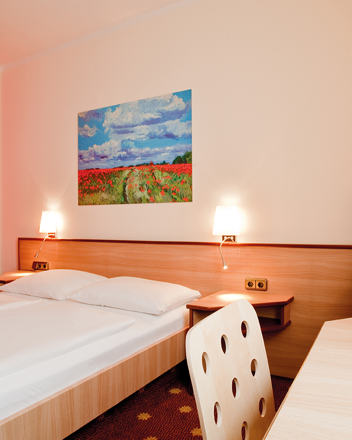 Superior Single Room 